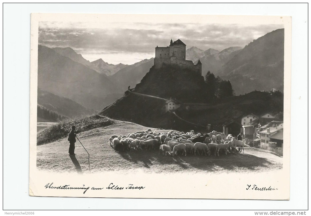 Suisse - Grisons Tarasp Carte Photo De Feuerstein  Troupeau De Moutons Berger 1951 - Tarasp