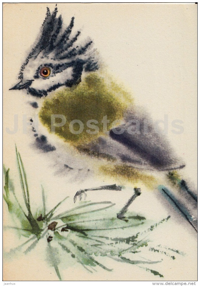 Illustration By E. Pikk - European Crested Tit - Lophophanes Cristatus - Birds - 1974 - Estonia USSR - Used - Oiseaux