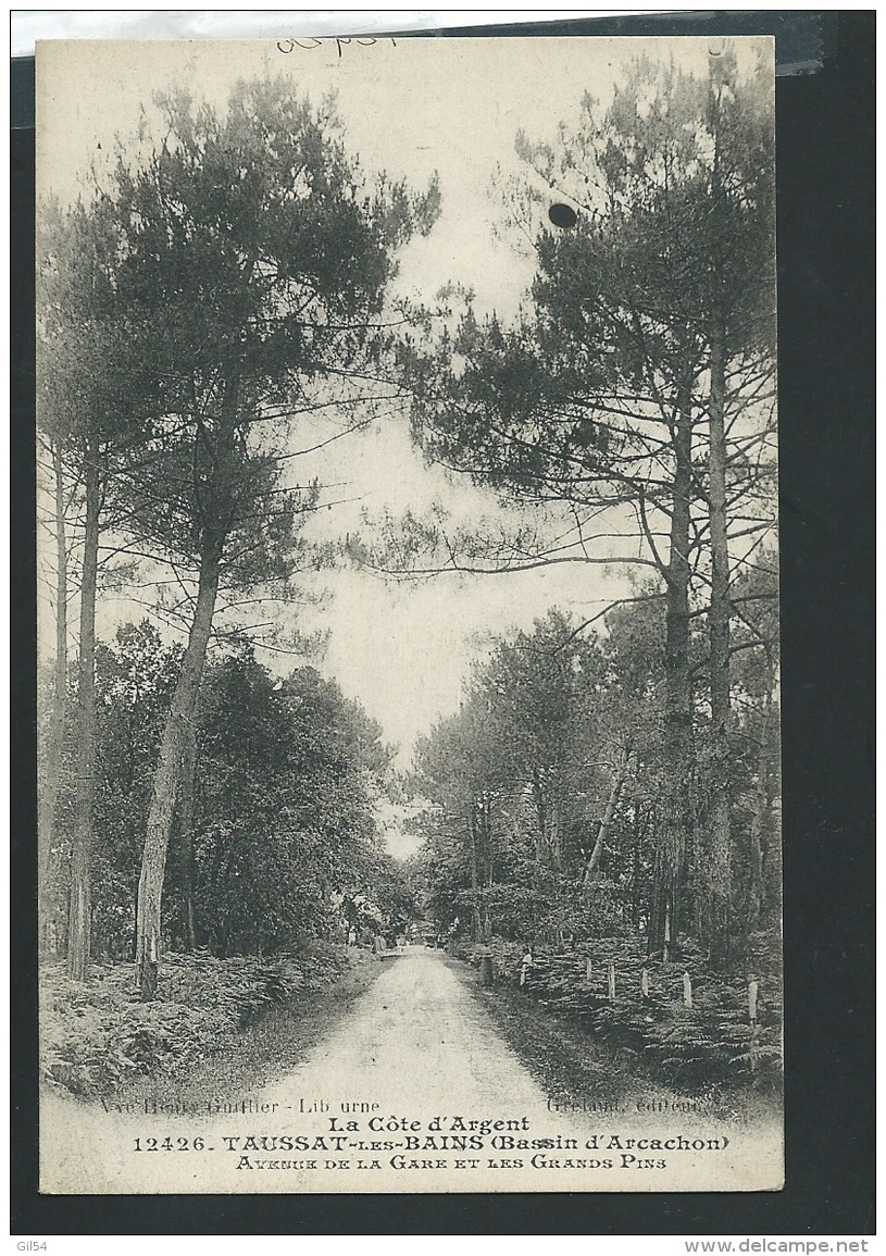 Taussat Les Bains ( Bassin D'Arcachon ) Avenue De La Gare Et Les Grands Pins  - Obe25112 - Arcachon