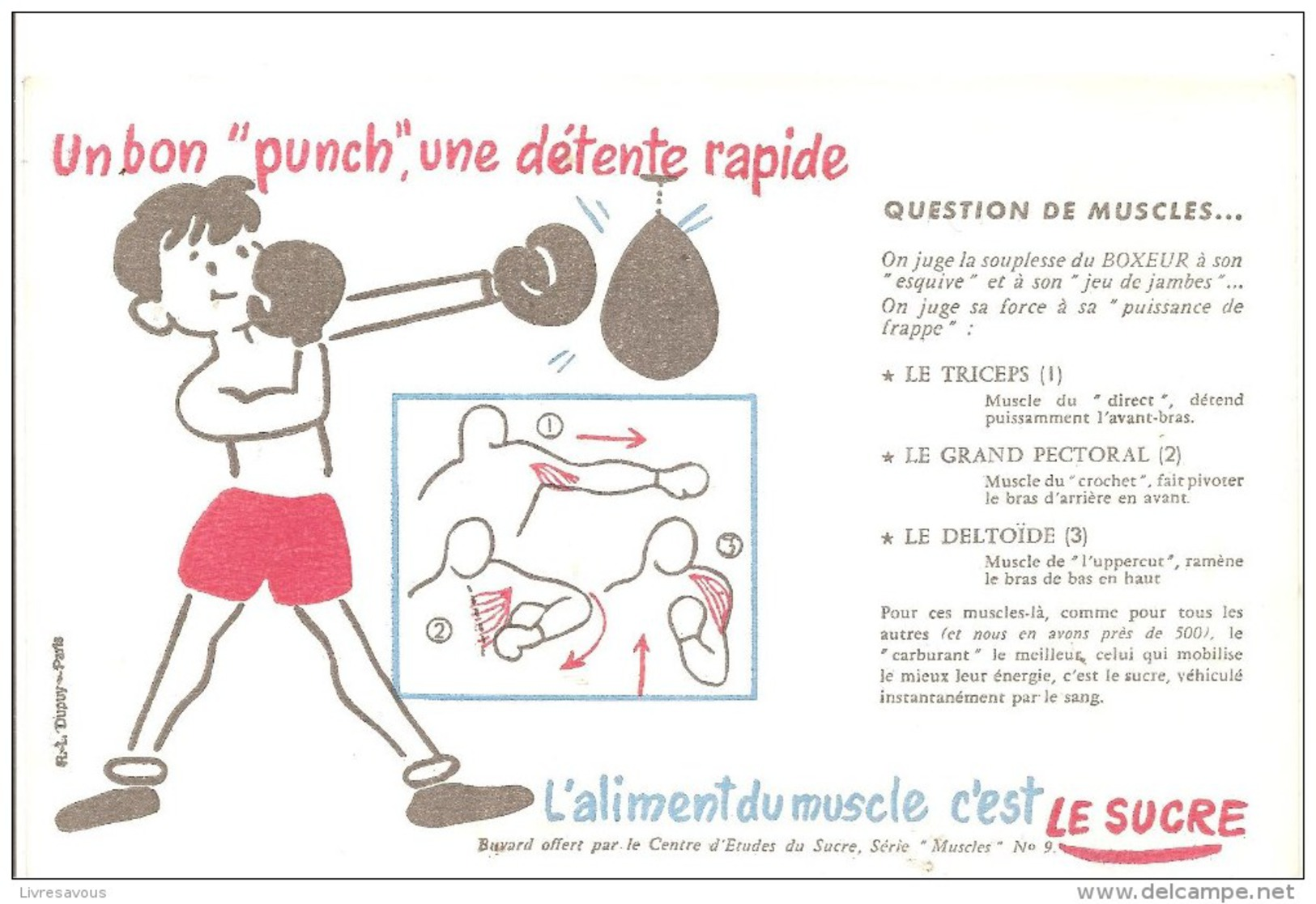 Buvard - Un Bon " Punch " Une Détente Rapide - Sports