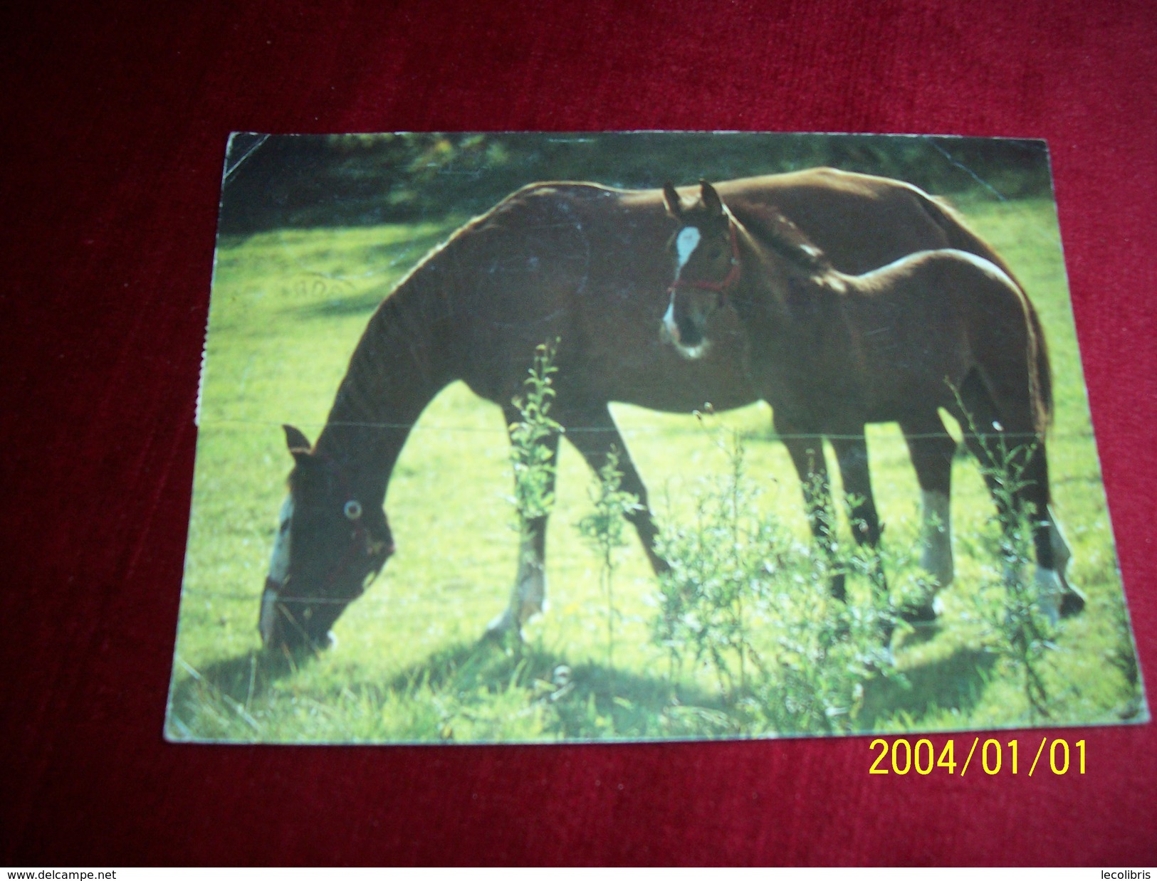 THEME  LES  CHEVAUX AVEC PHILATELIE  ° SVERIGE - Chevaux