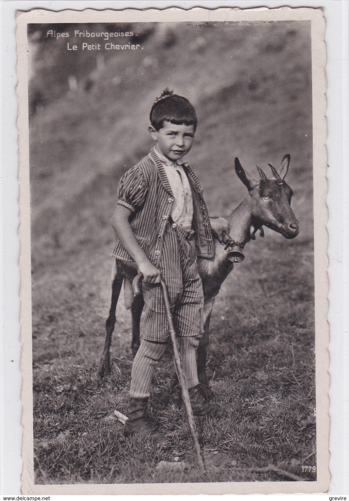 Le Petit  Chevrier Alpes Fribourgeoises, Chèvres, Carte-photo - Elevage