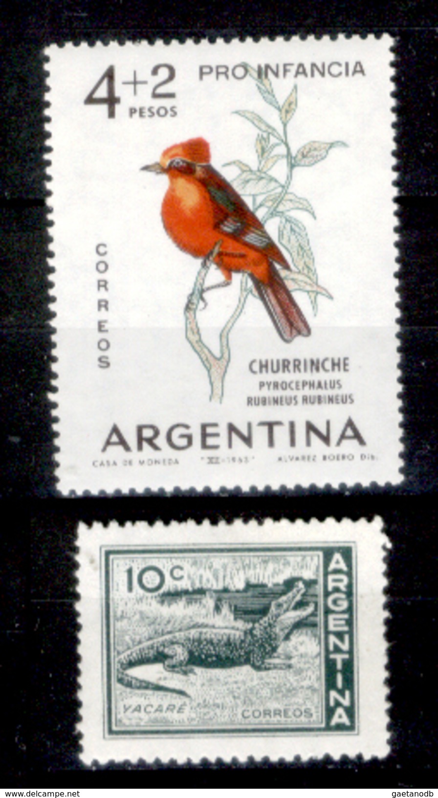 Argentina-00179 - 1963 - Valori Nuovi (++) MNH - Privi Di Difetti Occulti - - Ongebruikt