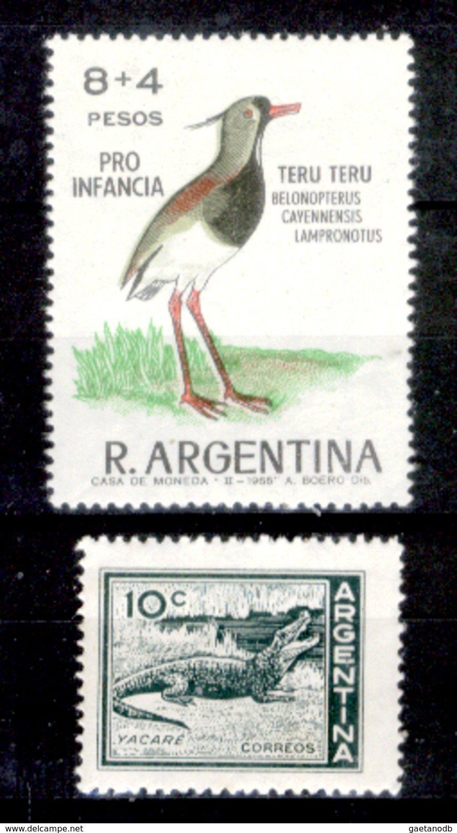 Argentina-00181 - 1966 - Valori Nuovi (++) MNH - Privi Di Difetti Occulti - - Ongebruikt