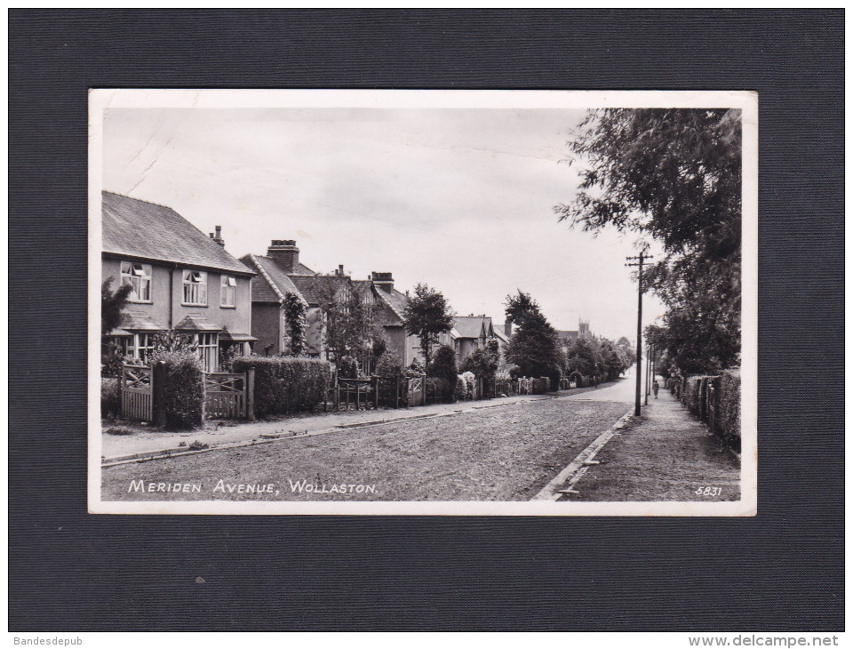 CPSM PF UK Wollaston - Meriden Avenue ( The R.A. Postcards LTD) - Northamptonshire