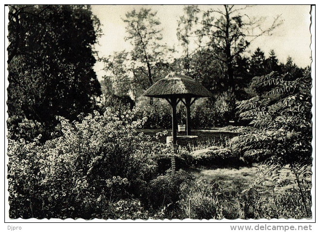 KAPELLEN - HOOGBOOM - Notre-Dame De Grâce - Maison De Repos "Welvaart   Un Coin Du Parc - Kapellen