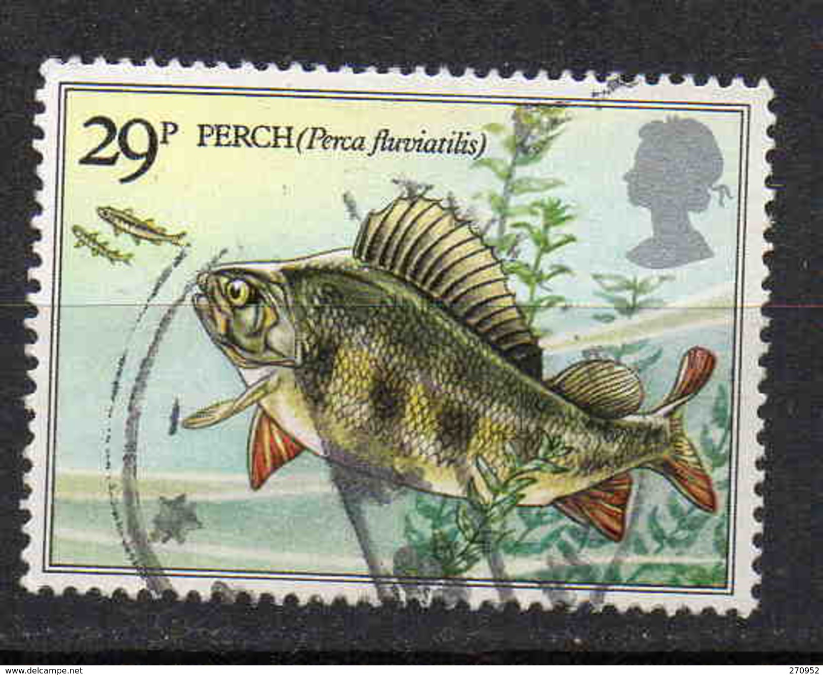 Poissons Des Rivières Britanniques - Gebraucht