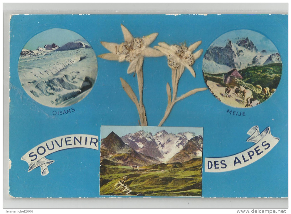 Souvenir Des Alpes Fleurs Collées Oisans Meije ... - Bourg-d'Oisans