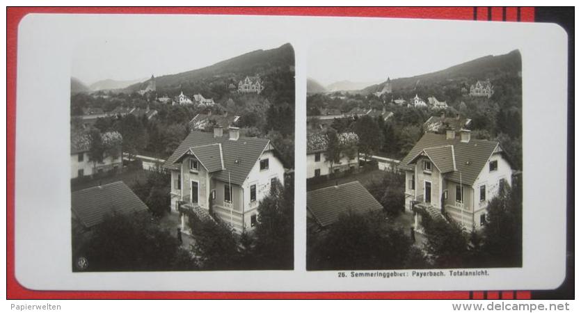 Stereofoto: 2650 Payerbach (NK) - Panorama / Maler Franz Koss - Stereoscopic