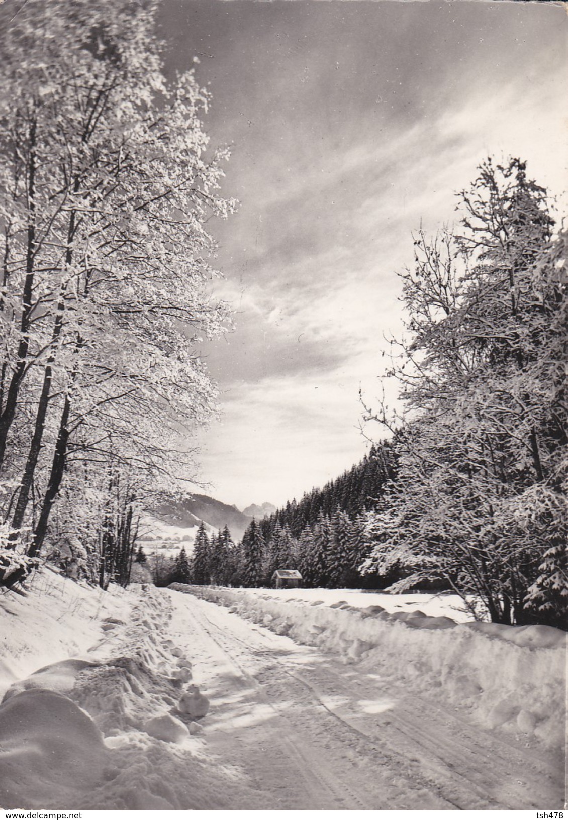 74----Sur La Route Au Long De La Dranse D'abondance--voir 2 Scans - Abondance