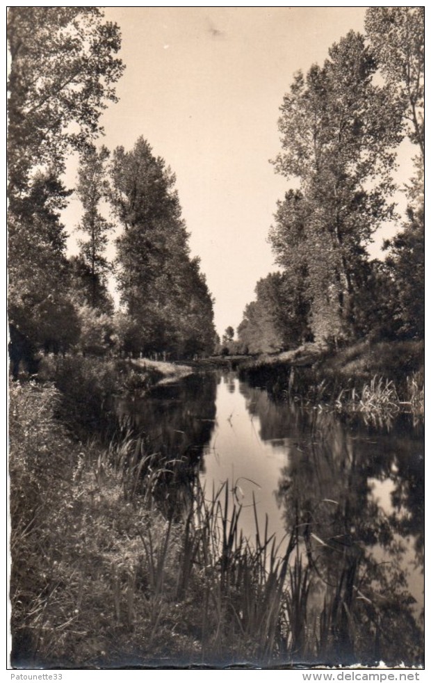 MAUZE SUR LE MIGNON LE MIGNON VU DU MOULIN NEUF CARTE PHOTO N&B DENTELEE - Mauze Sur Le Mignon