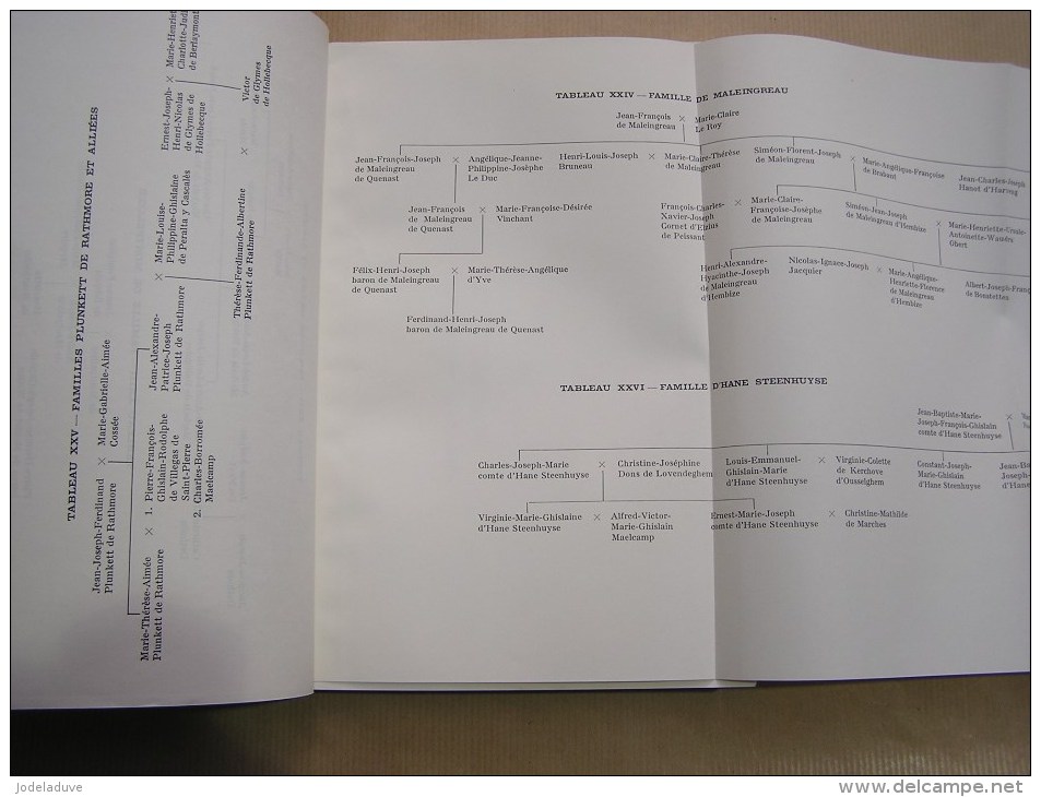 INVENTAIRE DES ARCHIVES DE LA FAMILLE DE CLERQUE WISSOCQ DE SOUSBERGHE Régionalisme Virelles Chimay Généalogie Gand