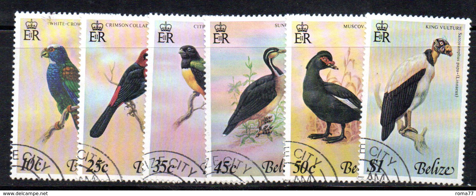 2ENG1F - BELIZE , Yvert Serie  N. 397/402  Usata .  Birds - Belize (1973-...)