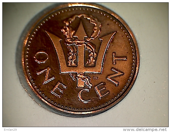 Barbados 1 Cent 1982 - Proof - Barbades