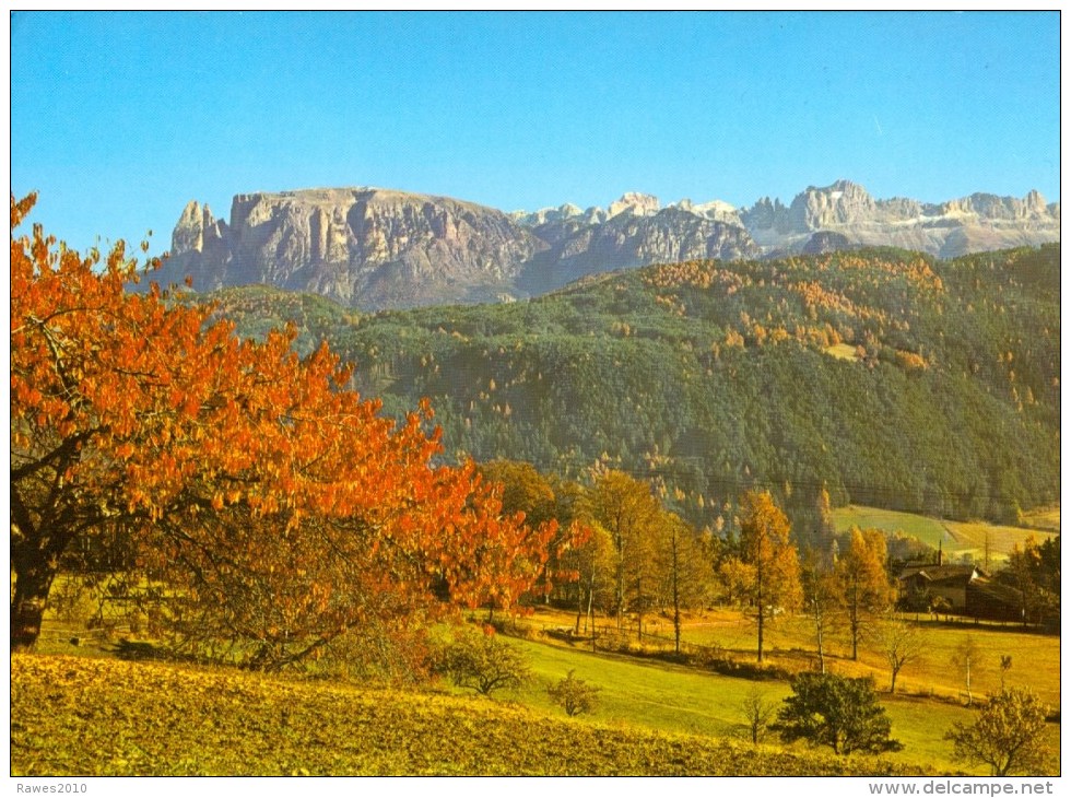 AK Italien Dolomiten 1986 Der Schlern Und Der Rosengarten Vom Ritten Gesehen - Sonstige & Ohne Zuordnung