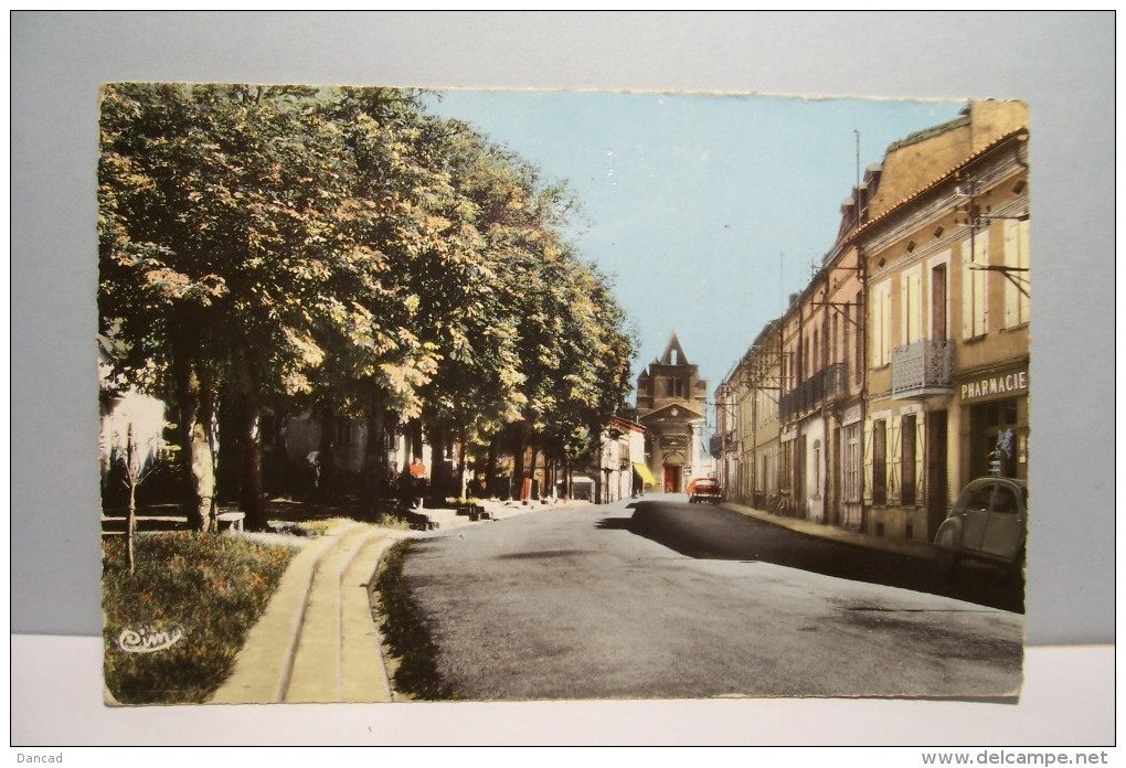 MONTASTRUC-la-CONSEILLERE     --- Avenue Du Général  De  Castelnau   - ( Pas De Reflet Sur L'original ) - Montastruc-la-Conseillère