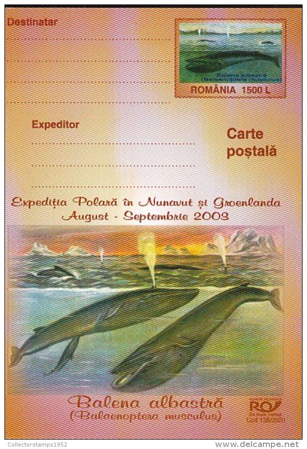 52731- NUNAVUT ARCTIC EXPEDITION, GREENLAND, WHALES, POSTCARD STATIONERY, 2003, ROMANIA - Expéditions Arctiques