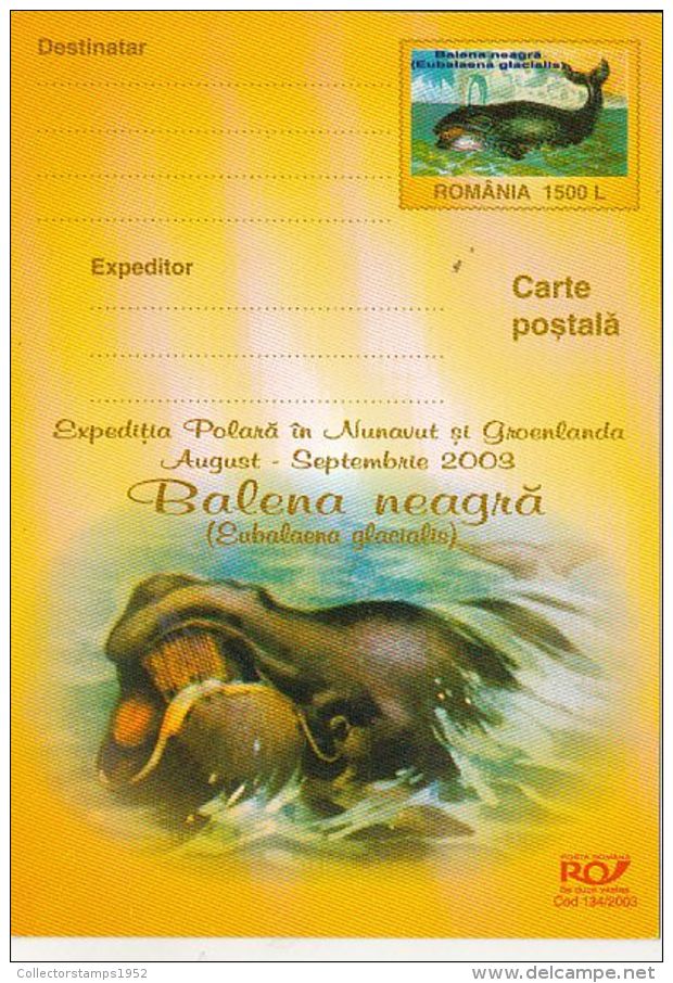 52732- NUNAVUT ARCTIC EXPEDITION, GREENLAND, WHALES, POSTCARD STATIONERY, 2003, ROMANIA - Arctische Expedities