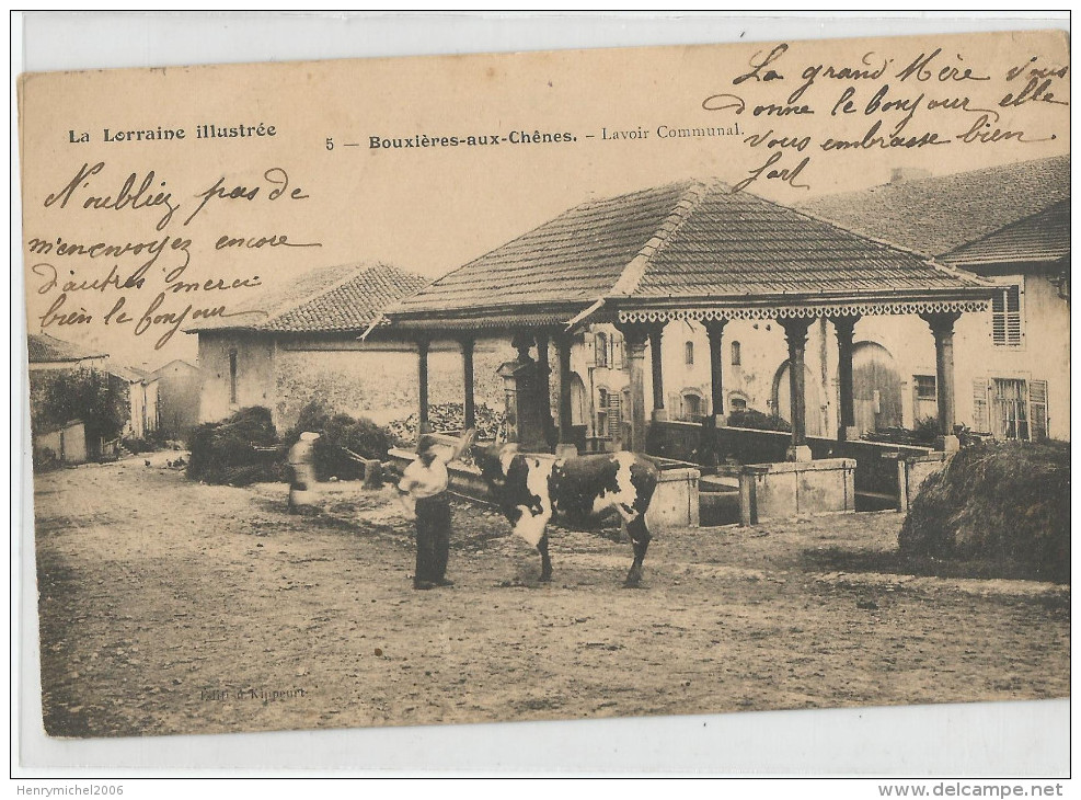 54 - Bouxières Aux Chenes Lavoir Communal  Vache Paysans 1904 - Other & Unclassified