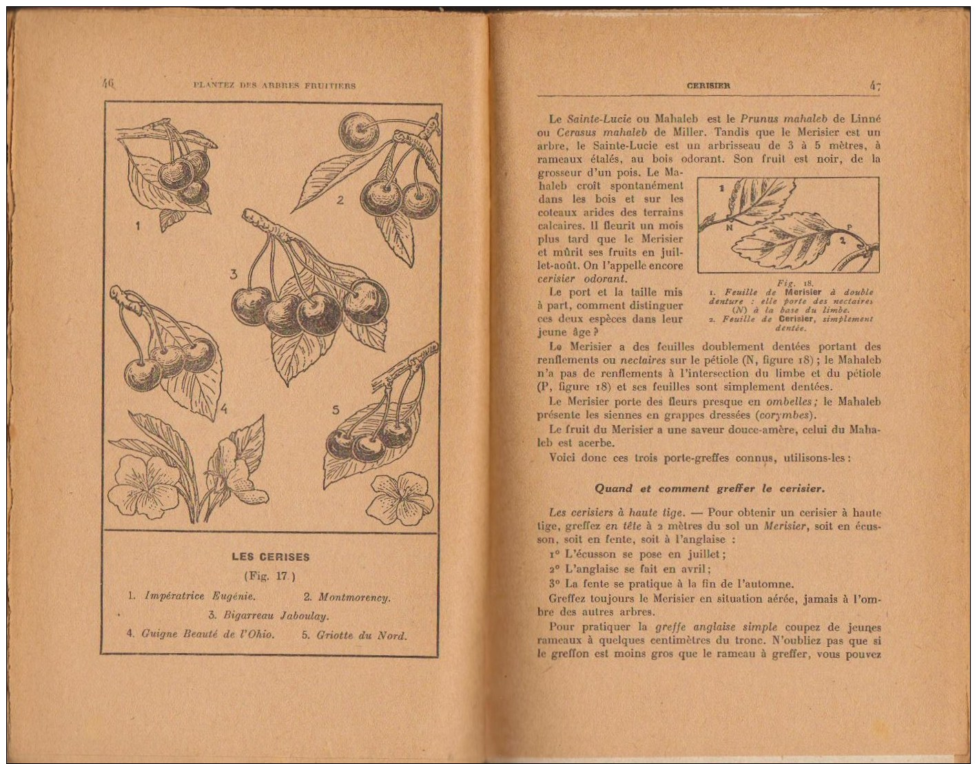 EDOUARD LANGEVIN PLANTEZ DES ARBRES FRUITIERS RUSTICA 1942 ARBORICULTURE TAILLE VERGER PECHER POIRIER POMMIER NOYER ETC - Garden