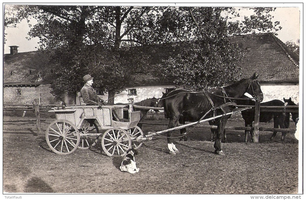 Rittergut OSSOWO Posen Osowo Oberinspektor Fanele In Einspänner Kutsche Jagdhund Stallgebäude Original Private Fotokarte - Posen