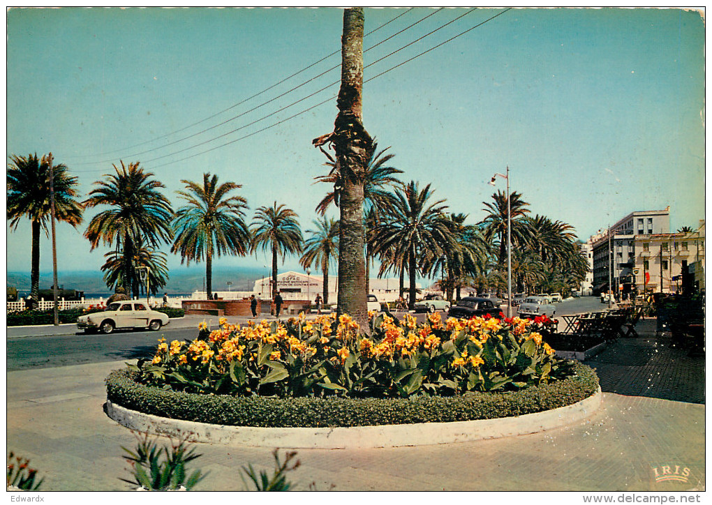 Avenue D'Espagne, Tanger, Morocco Postcard Posted 1968 Stamp - Tanger