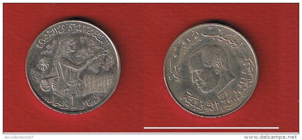 Tunisie  -    1 Dinar 1983   --  Km # 304  --  état  TTB+ - Tunisie