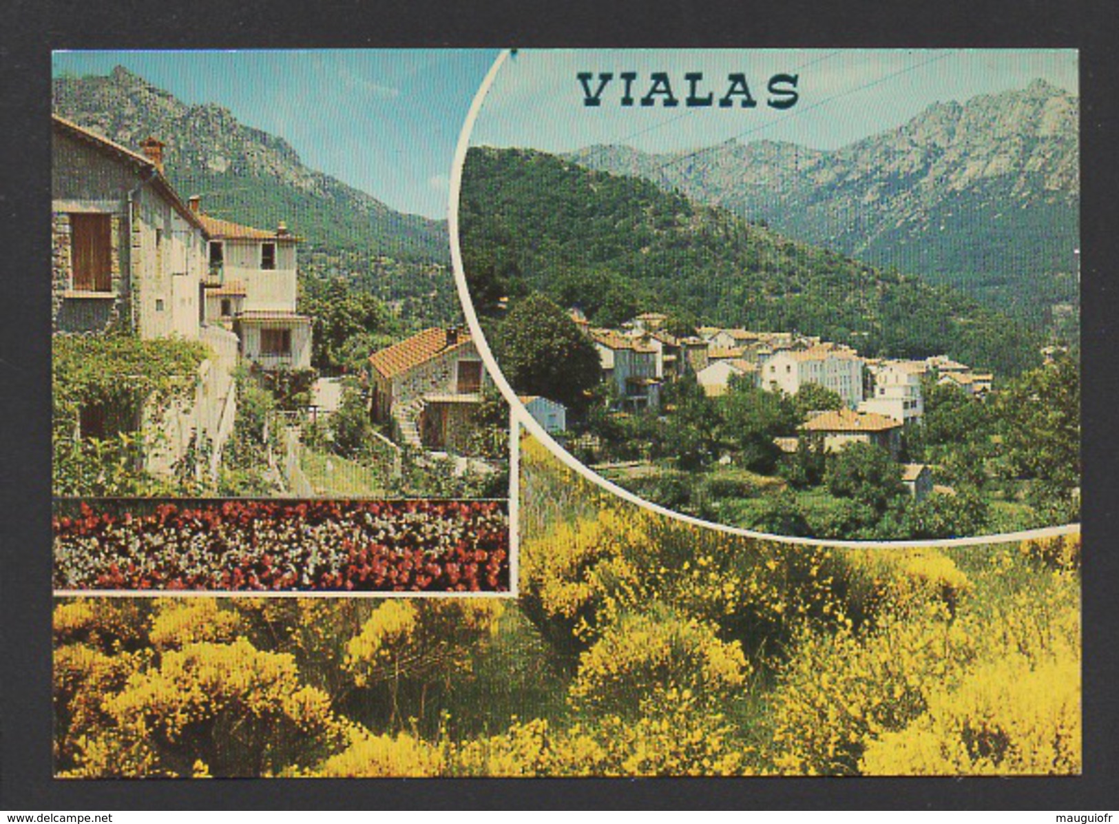 DF / 48 LOZERE / VIALAS / DIVERS ASPECTS DE LA COMMUNE - Autres & Non Classés