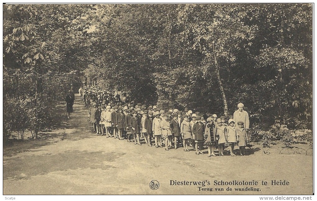 Diest.  -   Diesterweg's Schoolkolonie Te Heide - Diest