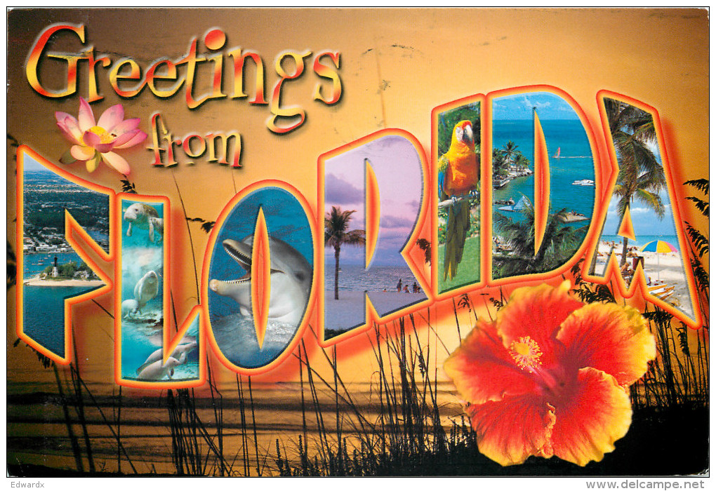 Greetings From, Florida, United States US Postcard Posted 2009 Stamp - Autres & Non Classés