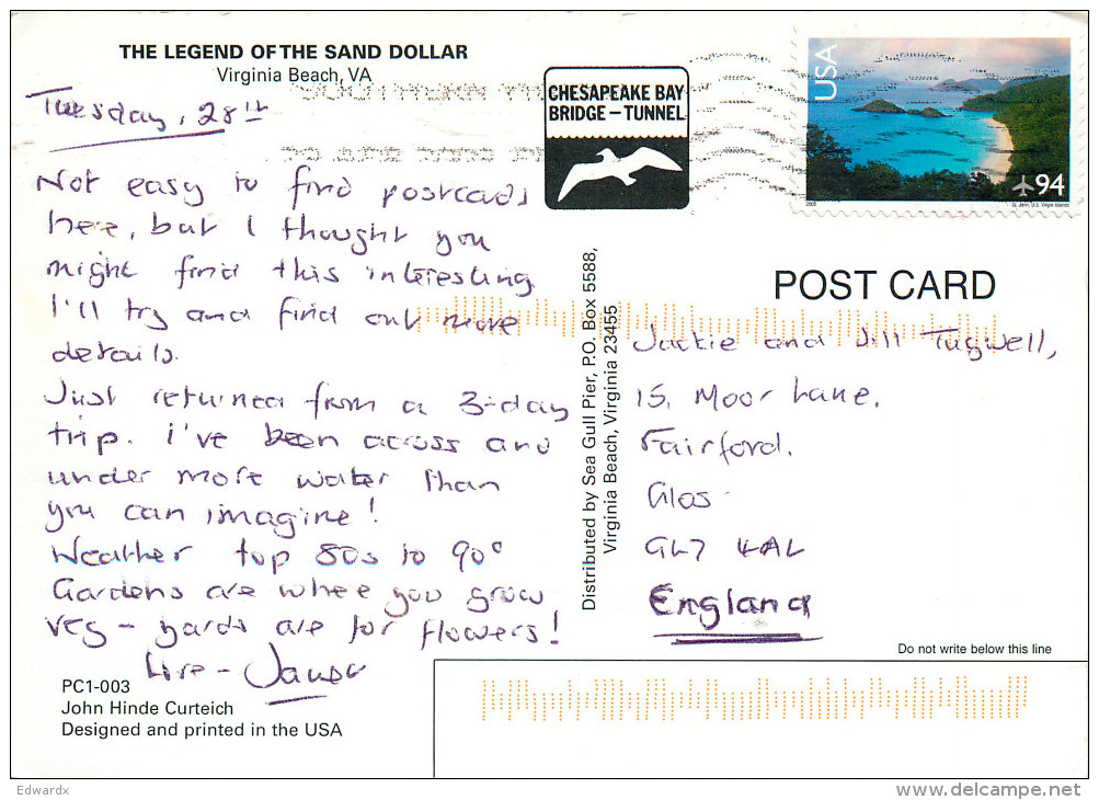 Sand Dollar, Virginia Beach, Virginia, United States US Postcard Posted 2008 Stamp - Virginia Beach