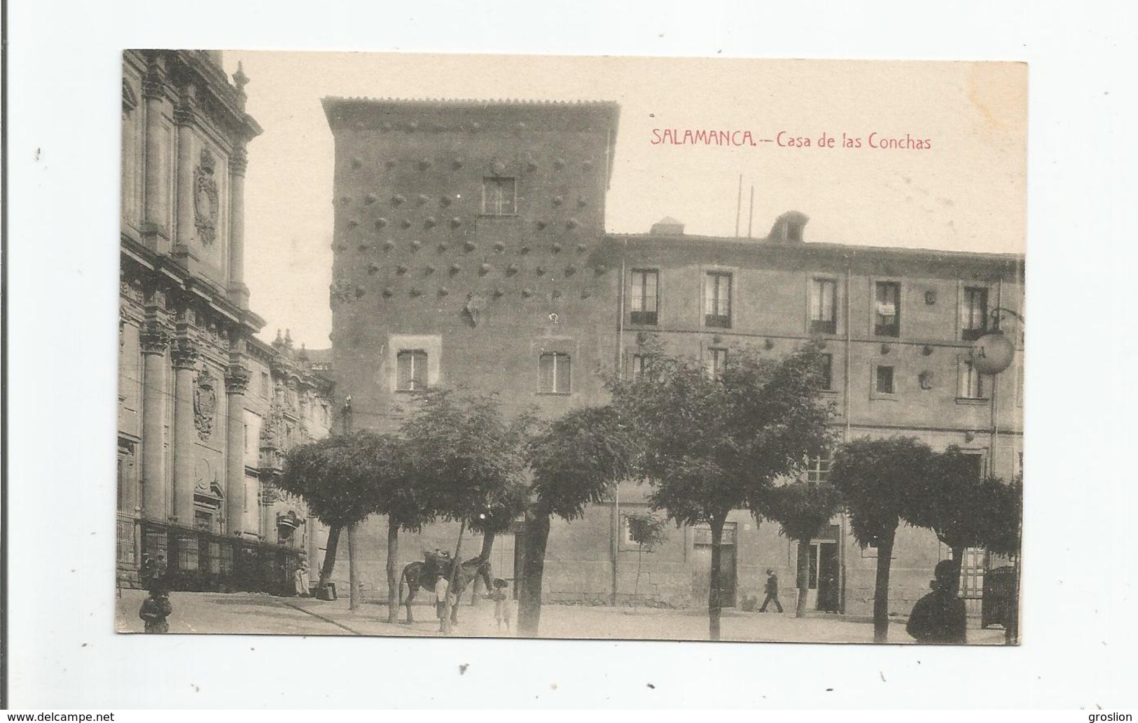 SALAMANCA CASA DE LAS CONCHAS - Salamanca