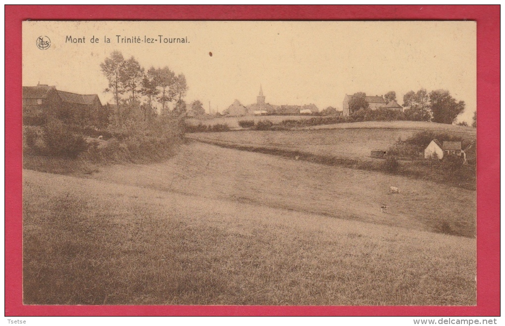 Mont De La Trinité-lez-Tournai ... Panorama De La Localité ( Voir Verso ) - Tournai