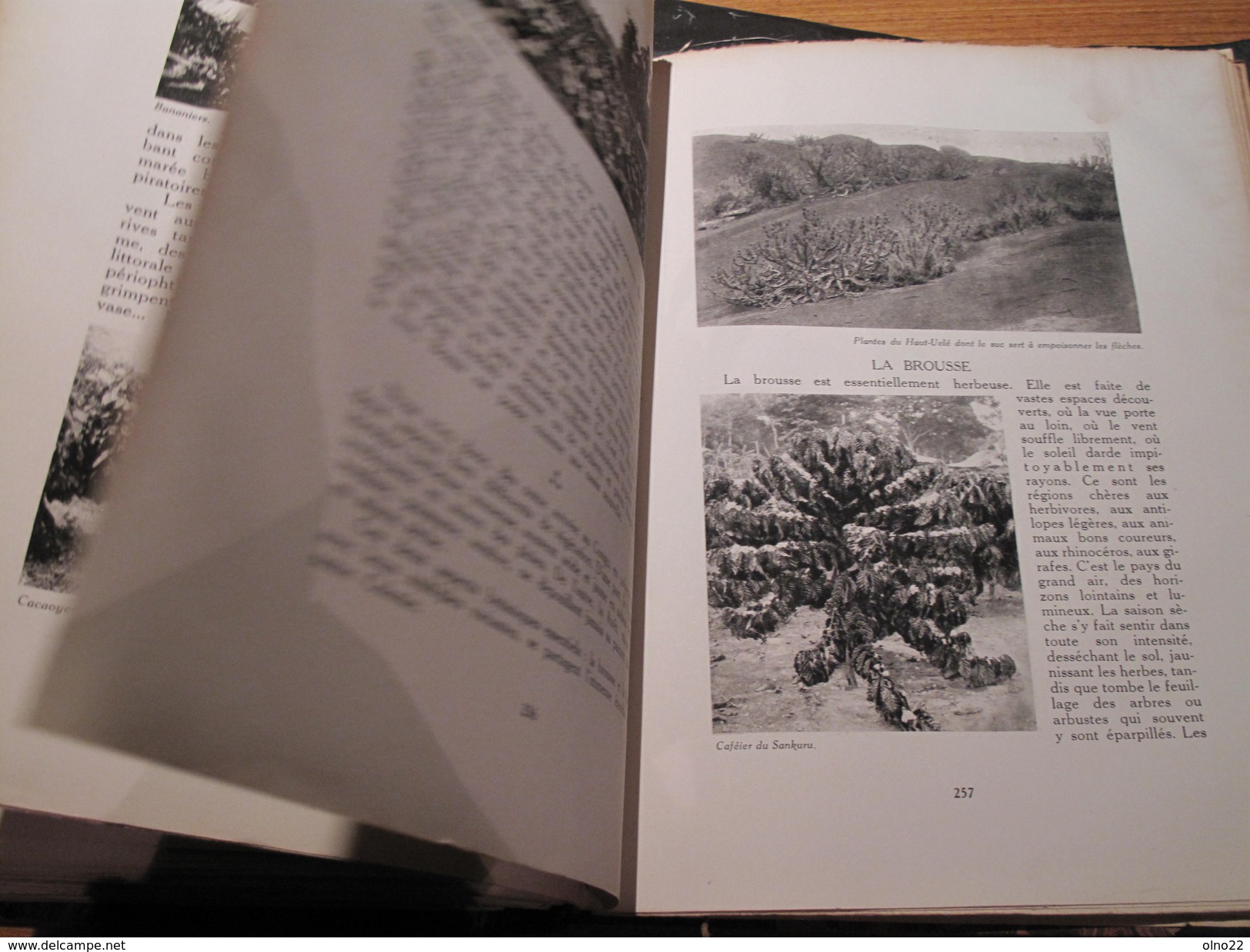 THARAUD Jean et Jérôme, LE MIROIR DU CONGO BELGE, 2 tomes, Bruxelles 1929