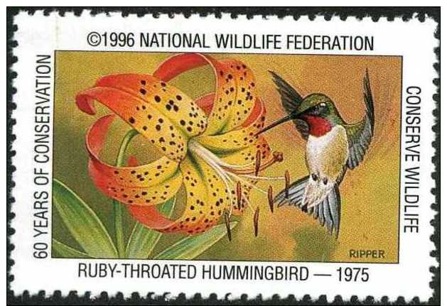 USA. Colibri, Hummingbird. Timbre / Vignette (3 X 5 Cm) National Wildlife Fed. - Kolibries