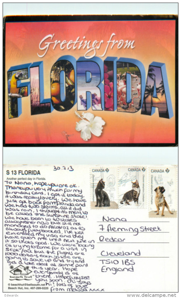 Greetings From, Florida, United States US Postcard Posted 2013 Stamp - Autres & Non Classés