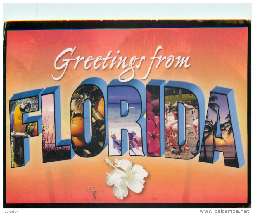 Greetings From, Florida, United States US Postcard Posted 2013 Stamp - Autres & Non Classés