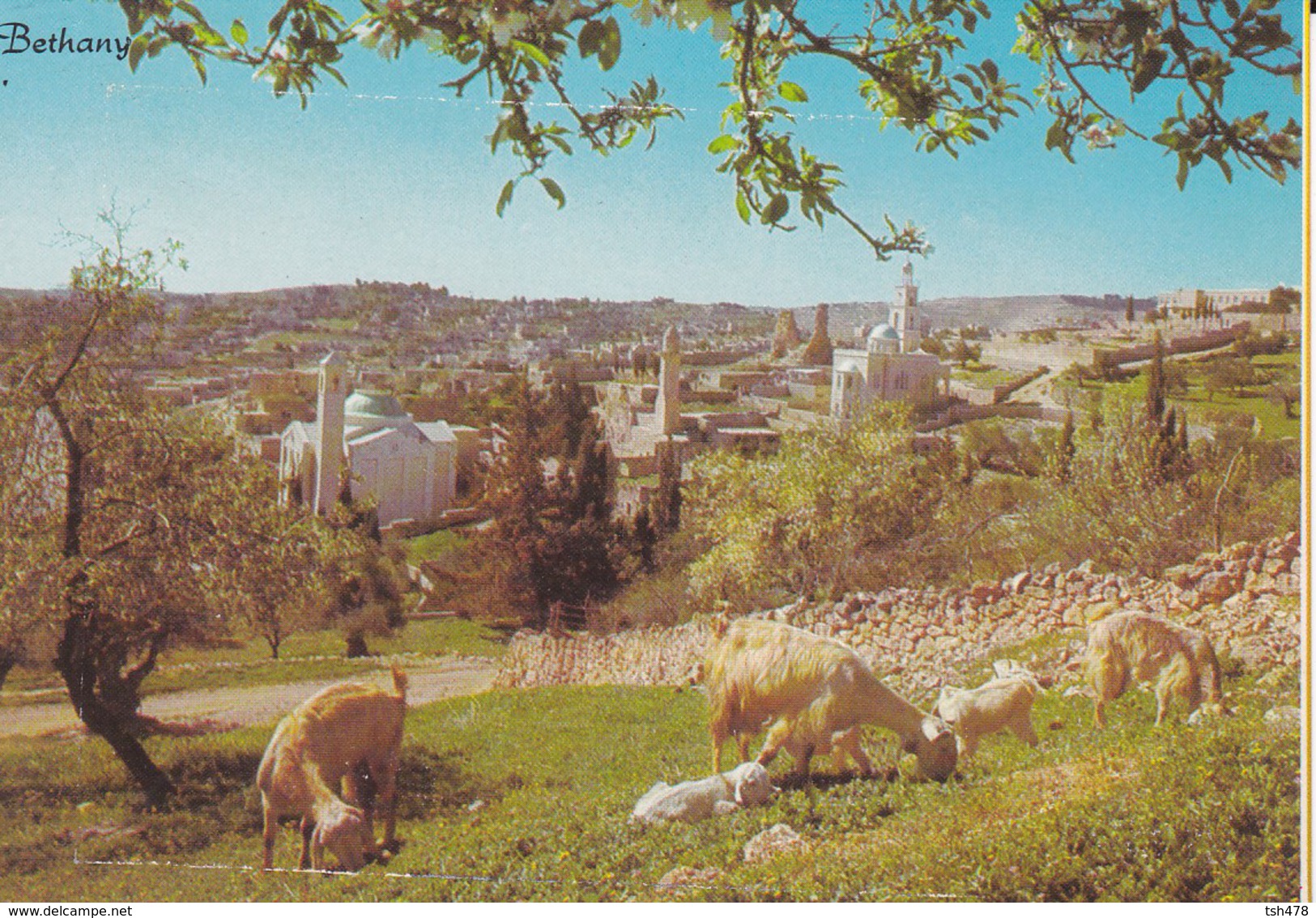 ISRAEL---BETHANY--près De Jerusalem---voir 2 Scans - Israel