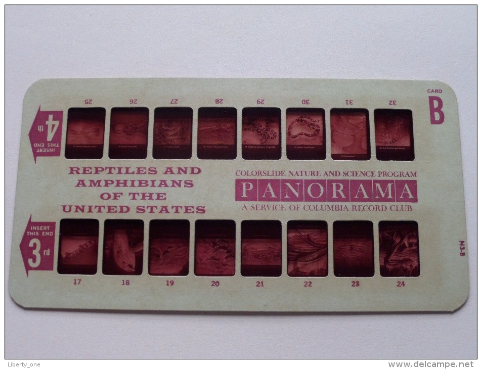 REPTILES AND AMPHIBIANS USA PANORAMA Card B ( Colorslide Travel Columbia Record Club / Zie Foto´s Voor Details ) ! - Lieux