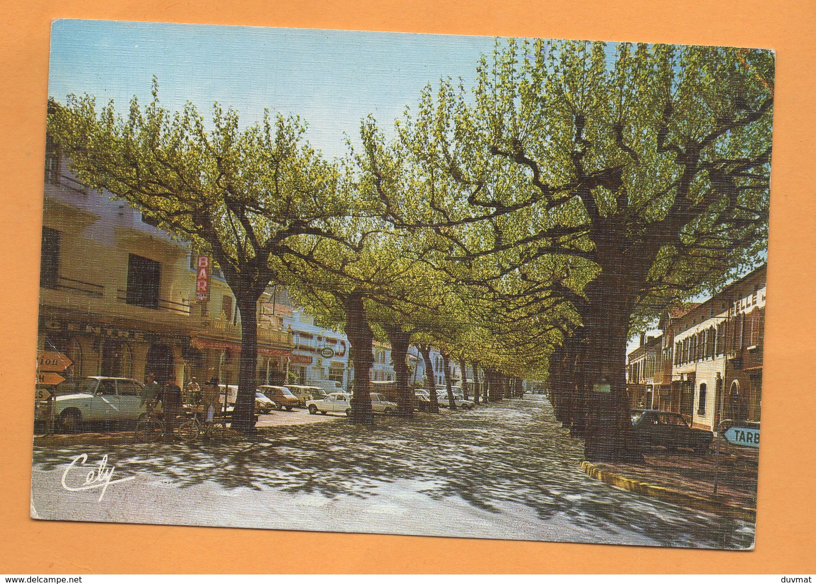 65 Hautes Pyrenées Maubourguet , Les Allées Larbanes - Maubourguet