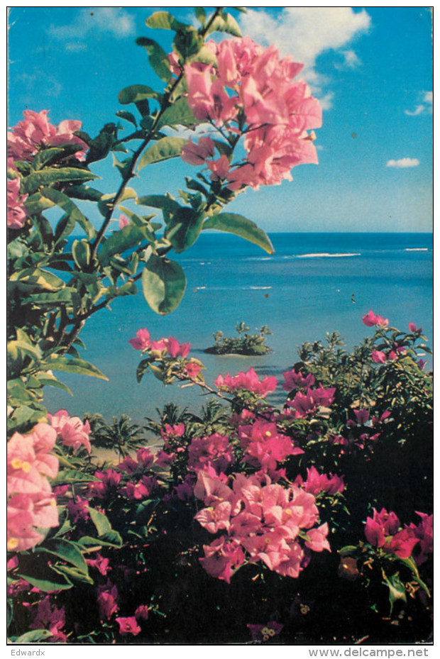 Kahala Hilton Hotel, Honolulu, Hawaii, United States US Postcard Posted 1980 Stamp - Honolulu