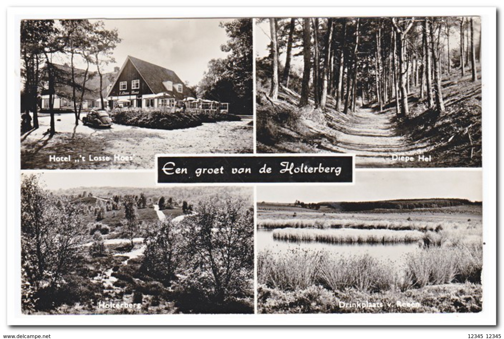 Een Groet Van De Holterberg - Holten