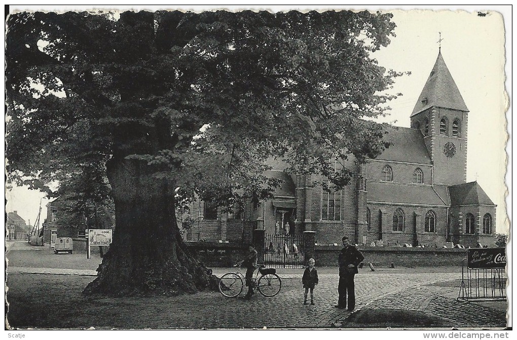 Zoersel Bij Westmalle   -   De Lindeboom En De Kerk - Zoersel