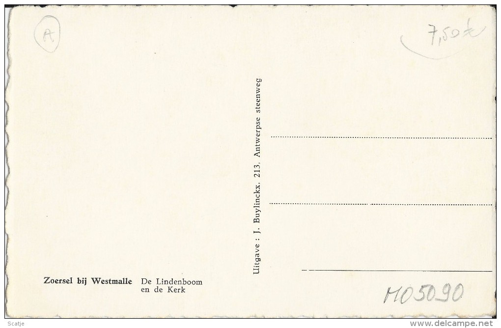 Zoersel Bij Westmalle   -   De Lindeboom En De Kerk - Zoersel