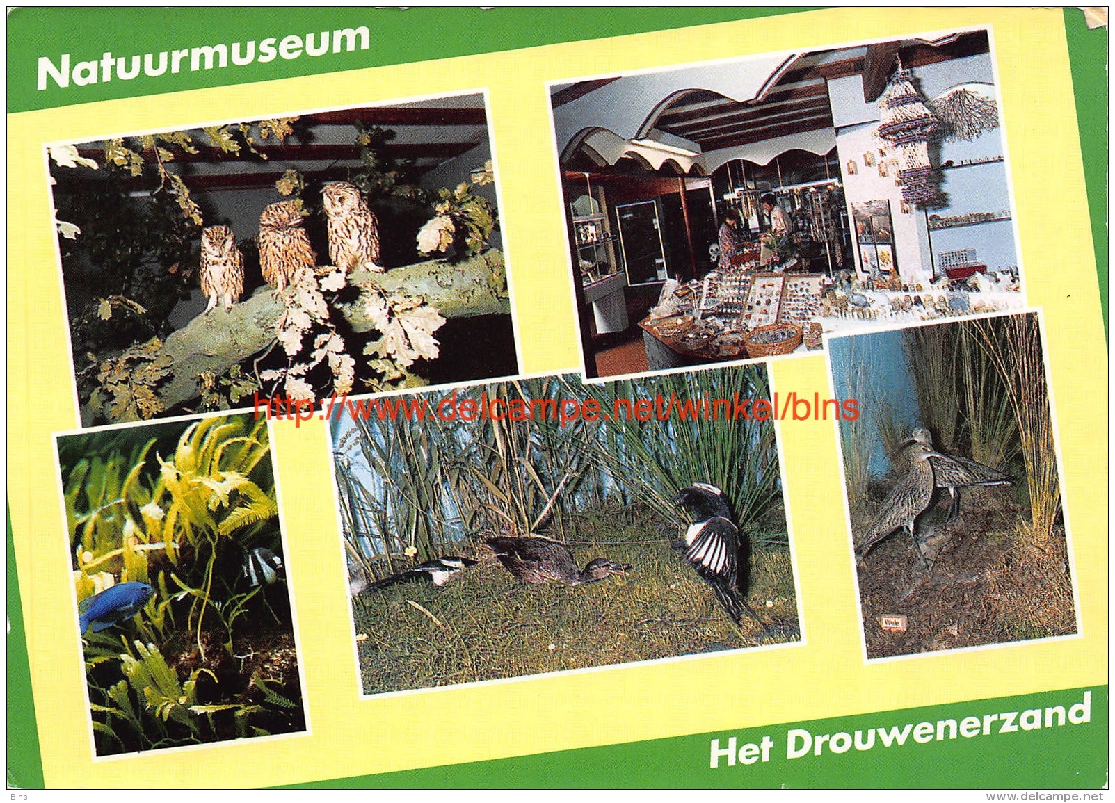 Natuurmuseum Het Drouwenerzand - Odoorn