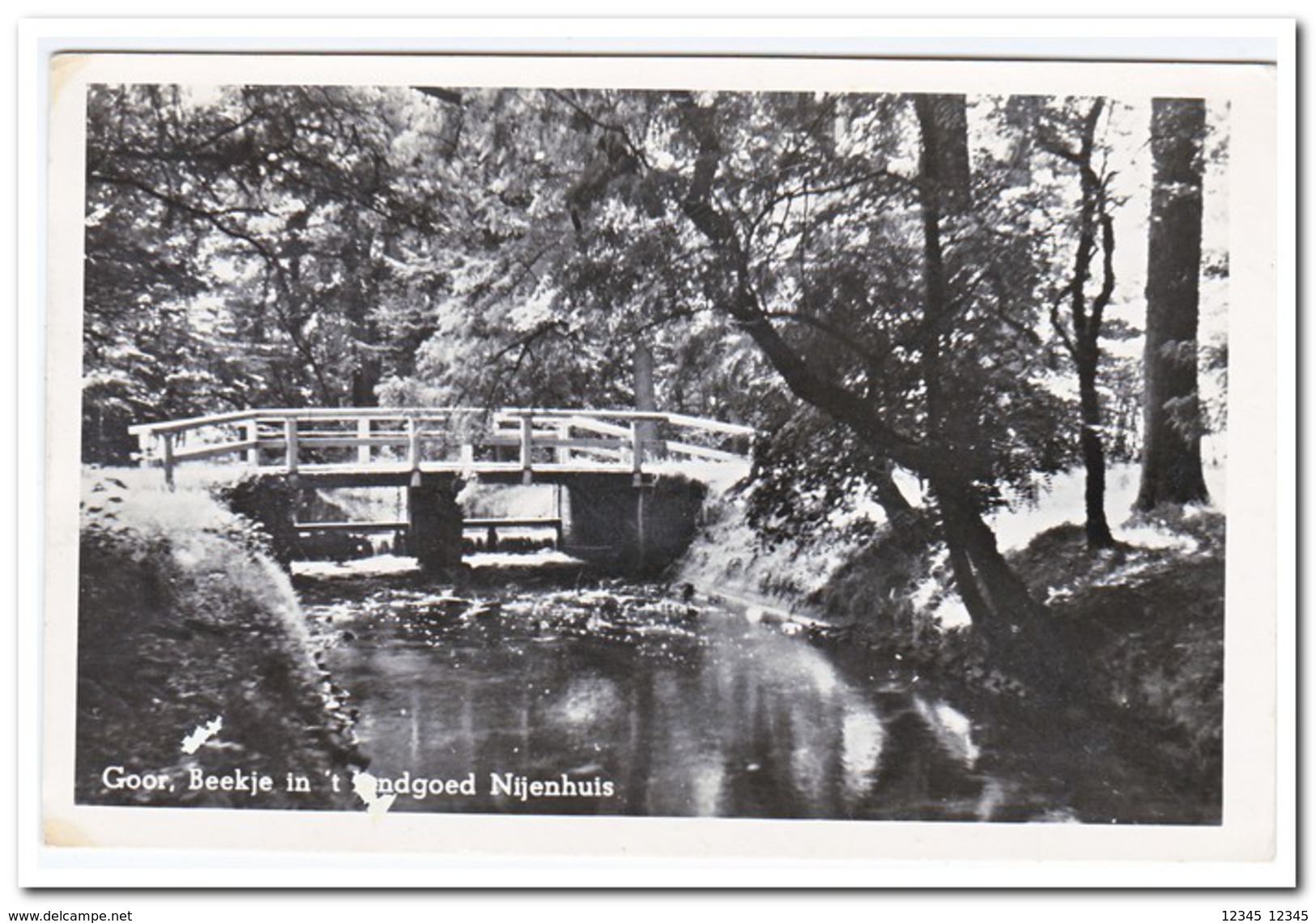 Goor, Beekje In 't Landgoed Nijenhuis - Goor