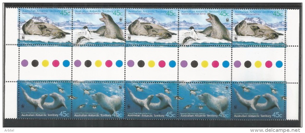 ANTARTIDA AUSTRALIANA FAUNA MARINA INTERPANEL CON SEMAFORO LEOPARD SEAL FOCA MAMIFERO POLO SUR - Faune Antarctique