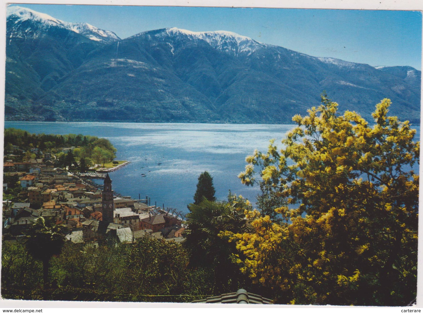 SUISSE,HLVETIA,SWISS,SWITZERLAND,SVIZZERA,SCHWEIZ, TESSIN,ASCONA,LAGO MAGGIORE,vue Aerienne - Ascona