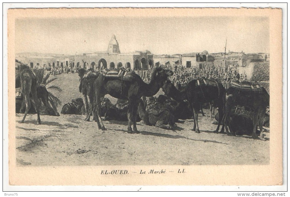 EL-OUED - Le Marché - LL - El-Oued