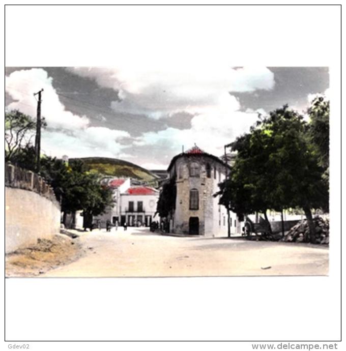 GDLJRTP6798-LFTD7224.Tarjeta Postal DE GUADALAJARA.Arboles,casas,mente Y CALLE DE BIBIANO CONTRERAS En JADRAQUE - Guadalajara